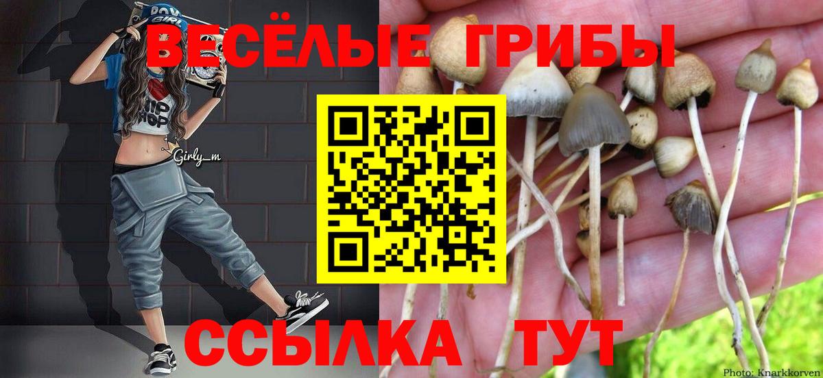 Нальчик  Псилоцибиновые грибы GOLDEN TEACHER  Вход с VPN  Псилоцибиновые грибы MAGIC MUSHROOMS 